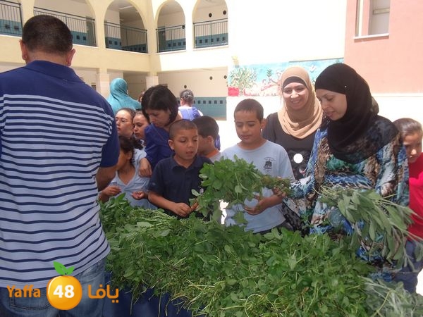 sooqelzahra2lud602 (59).JPG